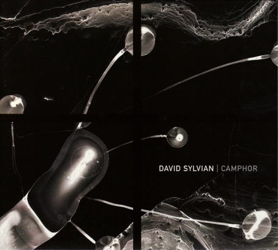 David Sylvian – Camphor