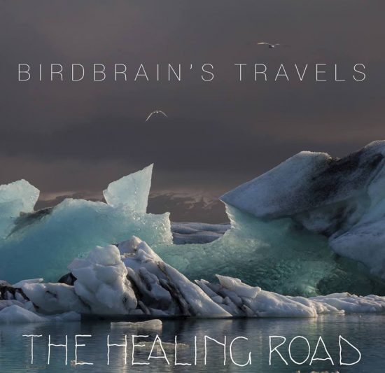 The Healing Road Birdbrain’s Travel