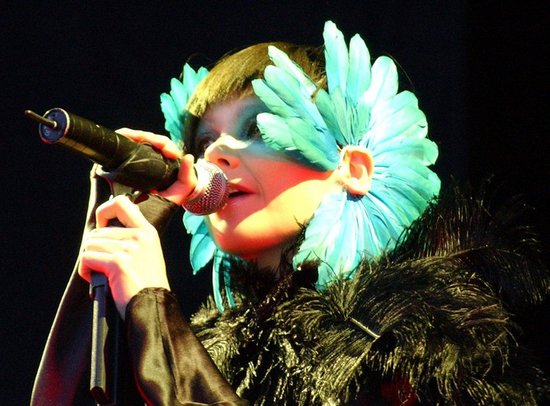 Björk Fossora Band 2