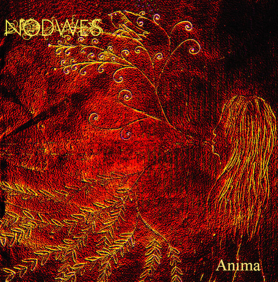 Nodwes - Anima