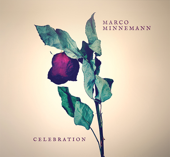 Marco Minnemann Celebration