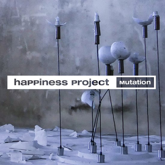 Happiness Project Mutation