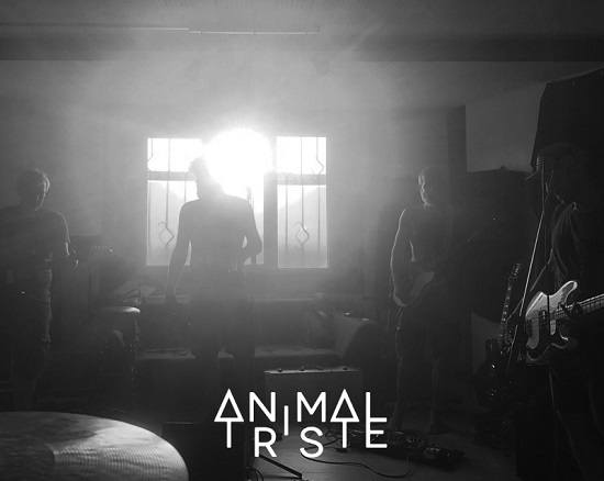 Animal Triste Animal Triste band 2