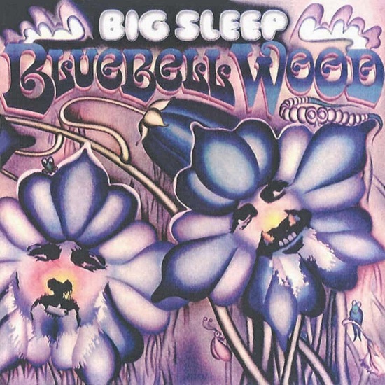 Big Sleep Bluebell Wood Band 2