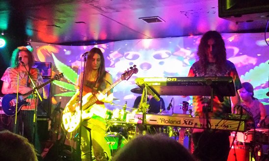 Ozric Tentacles Lotus Unfolding Band 2