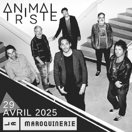 Live Report Animal Triste 2025