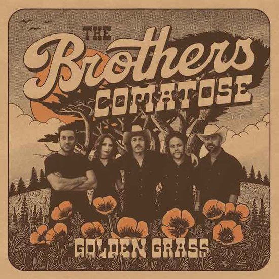 The Brothers Comatose Golden Grass