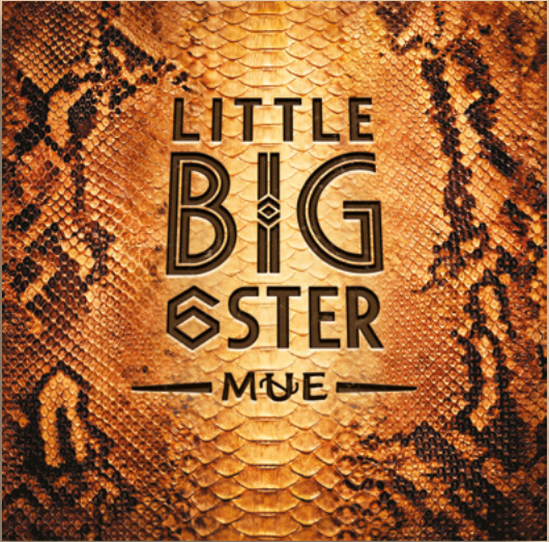 LITTLEBIG6STER Mue